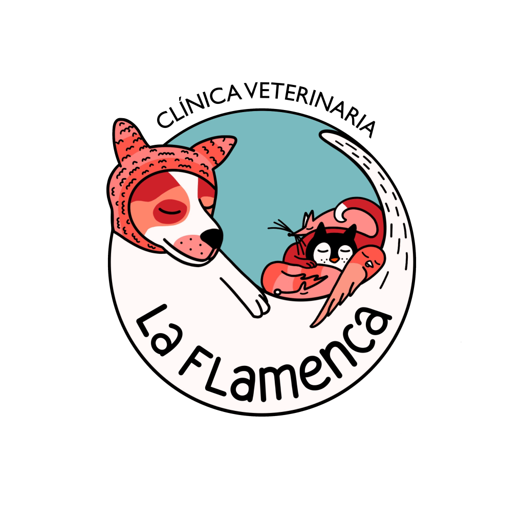 clínica veterinaria la flamenca
